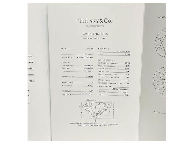 Autre Marque Tiffany Solitär Diamant Ring Silber - Ansicht 12