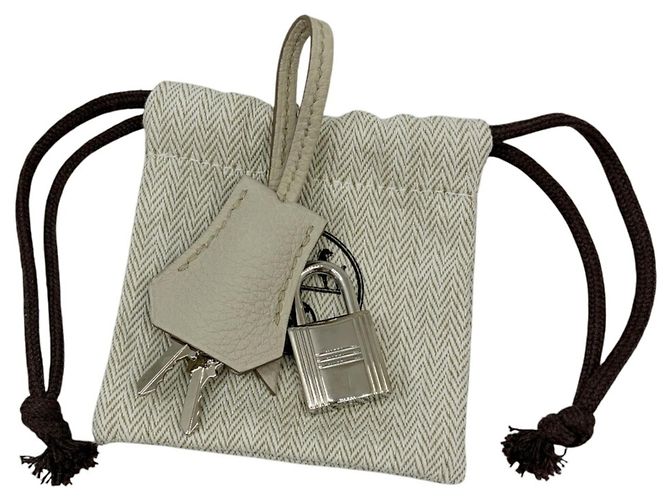 Hermès Bolsa Hermes Birkin 25 em couro Togo Cinza Cru - vista 14