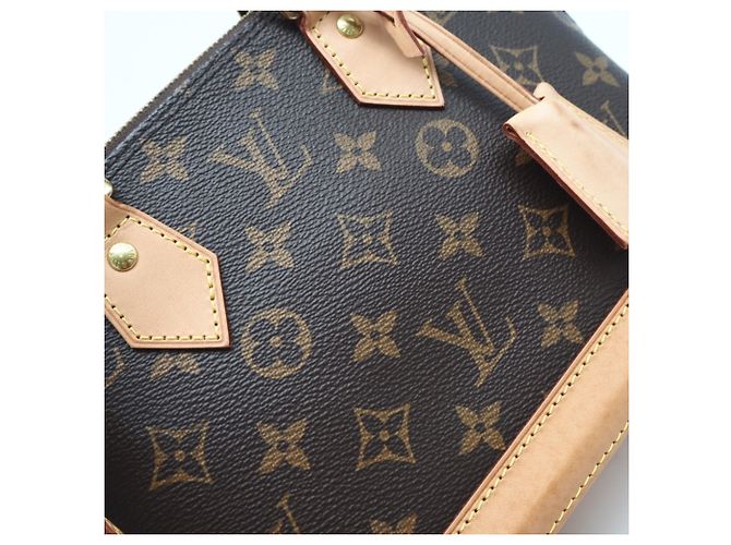 Bolso Louis Vuitton Monogram Alma BB Castaño Multicolor - vista 4