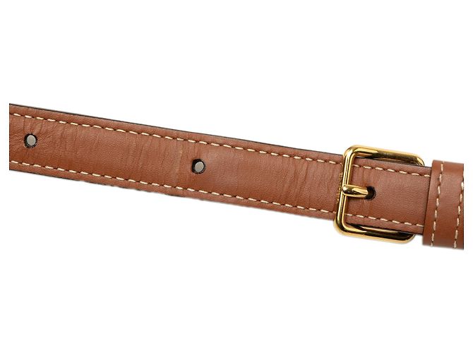 Céline Celine Brown Teen Triomphe Coated Canvas and Calfskin Triomphe Crossbody - vista 6