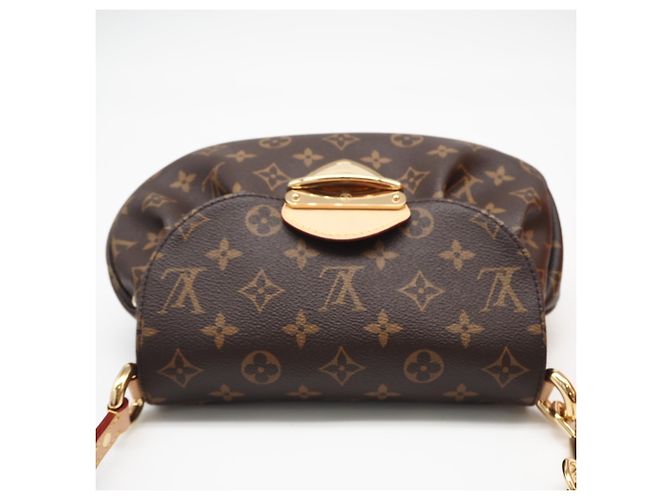 Borsa Louis Vuitton Monogram Sunset Marrone Beige - vista 6