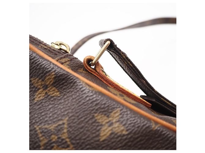 Bolso de hombro Louis Vuitton Monogram Amazon Castaño Beige - vista 11