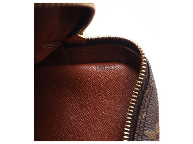 Bolso de hombro Louis Vuitton Monogram Amazon Castaño Beige - vista 16