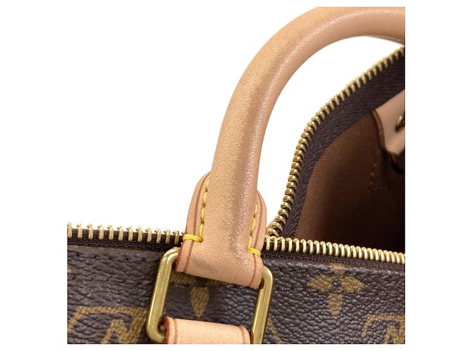 Borsa Boston Louis Vuitton Speedy 40 Monogramma - vista 12