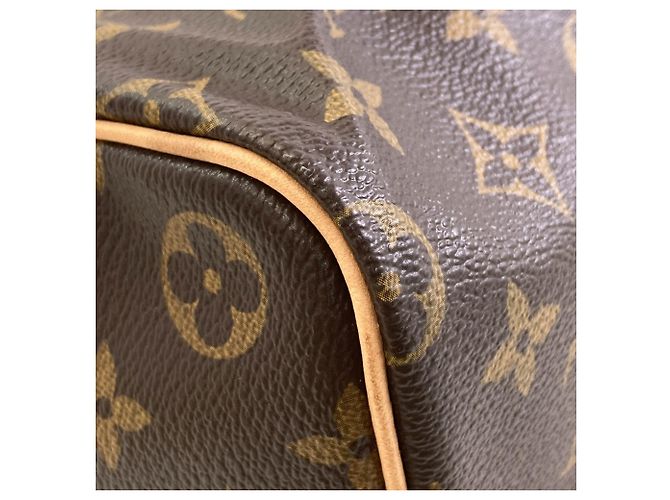 Borsa Boston Louis Vuitton Speedy 40 Monogramma - vista 13