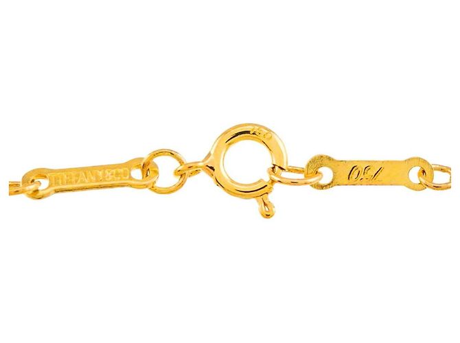 Autre Marque Collana Cuore Tiffany & Co. in Oro Giallo 18K - vista 5