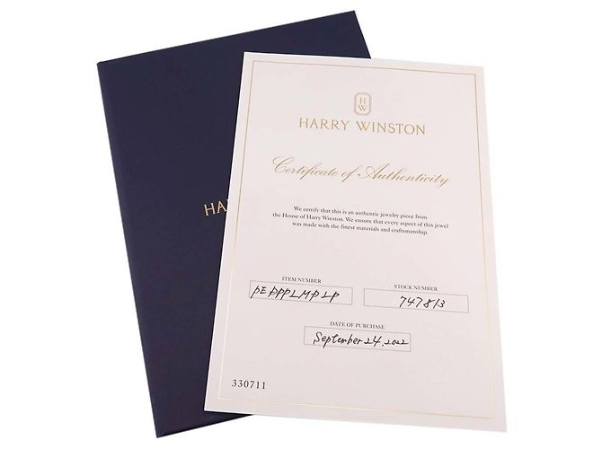 Collana Harry Winston HW Loop Medium in diamanti - vista 8