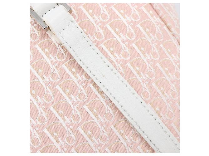Borsa Tote Christian Dior Trotter Canvas Rosa Argento Auth 205251V - vista 10