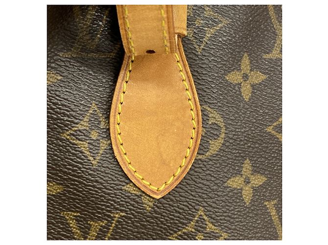 Borsa Tote Louis Vuitton Monogram Bucket PM Marrone - vista 11
