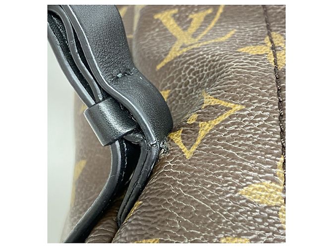 Louis Vuitton Monogram Palm Springs Rucksack MM Braun - Ansicht 8