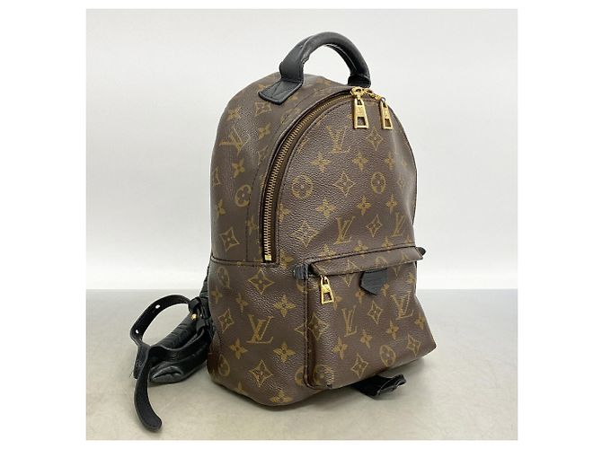 Louis Vuitton Monogram Palm Springs Backpack PM M44871 Brown - view 2