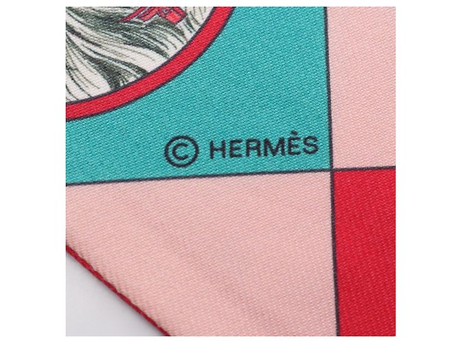 Hermès Hermes Twilly Colliers et chiens Silk Scarf Rosa Verde - vista 4