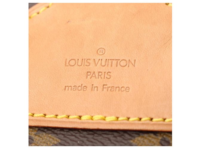 Sac à dos/Sac à main Louis Vuitton Montsouris MM Monogram Marron - vue 4