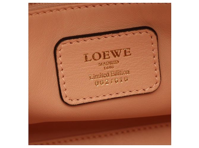 Borsa Loewe Amazona 28 Rosa Verde Giallo - vista 4