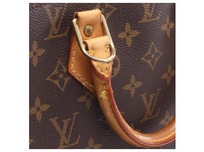 Bolso Louis Vuitton Alma PM Castaño Monograma - vista 12