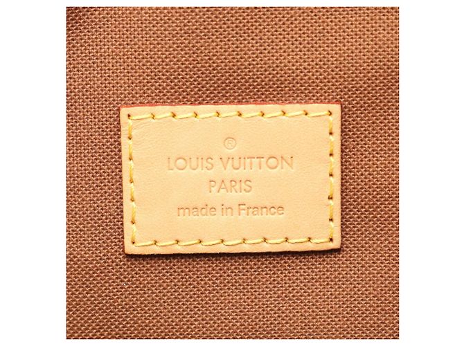 Louis Vuitton Sac aux Bosphore Backpack/Handbag Brown - view 4