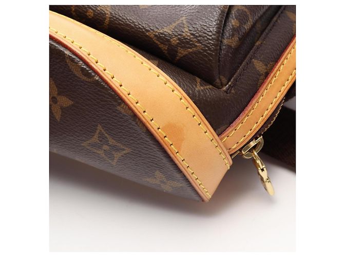 Louis Vuitton Sac aux Bosphore Backpack/Handbag Brown - view 9