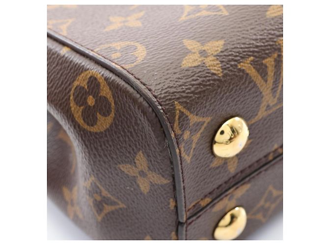 Borsa Louis Vuitton Cluny BB Monogram Rose Marrone - vista 6