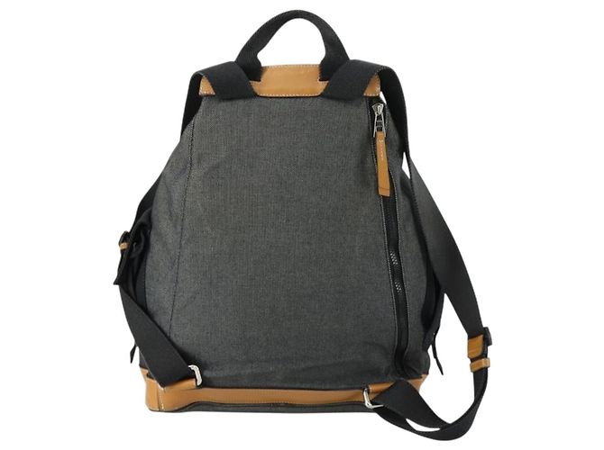 LOEWE Eye Nature Convertible Backpack Canvas Leather Gray Silver - vista 2