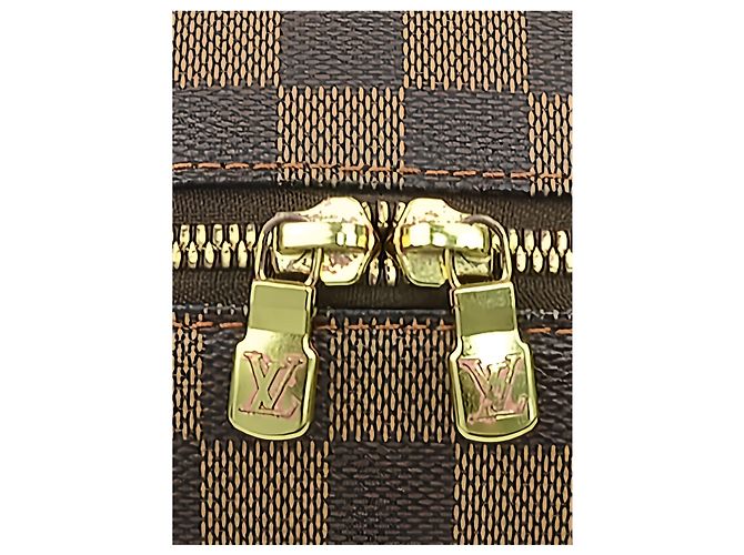 Louis Vuitton Brown Damier Ebene Ribera MM Marrone - vista 11