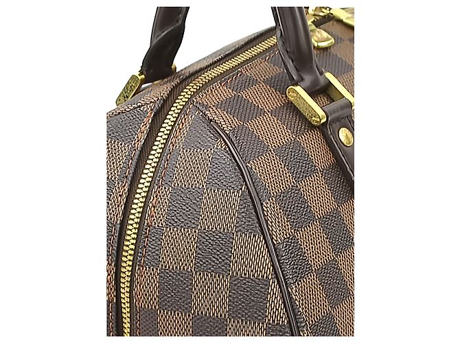 Louis Vuitton Brown Damier Ebene Ribera MM Marrone - vista 13