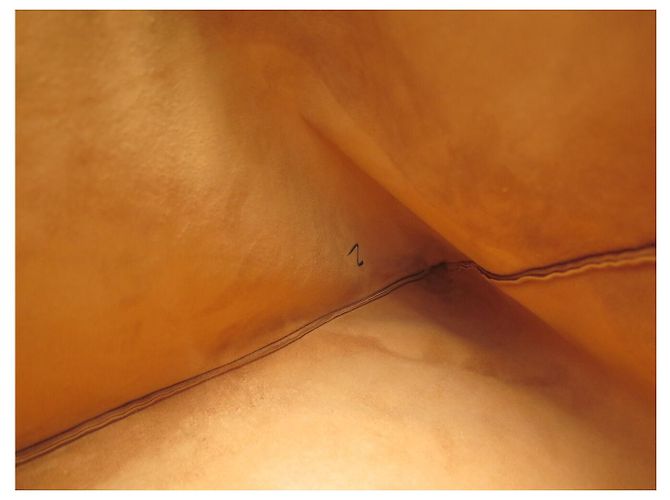Hermès HERMES PETIT H KISSEN
LAMMLEDER KISSEN GOLD PAINTED H1060878 PILLOW Kamel - Ansicht 11