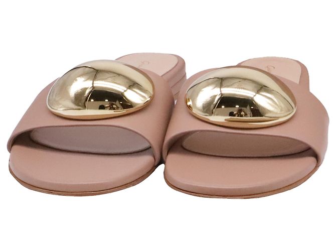 Sandali slide decorati Gianvito Rossi in pelle di agnello Beige - vista 6