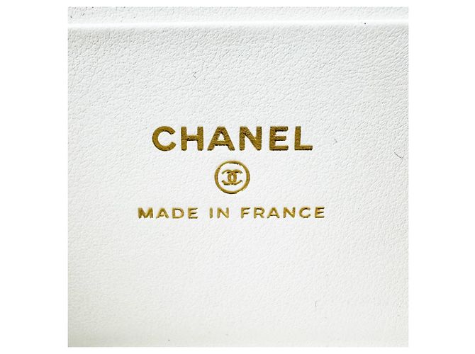 Vanity Borsa a tracolla Chanel in pelle di vitello grana Off-White Bianco sporco - vista 11