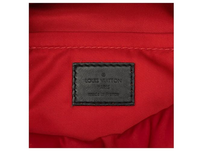 Mochila Mini Palm Springs Louis Vuitton Monogram World Tour Castaño Monograma - vista 5