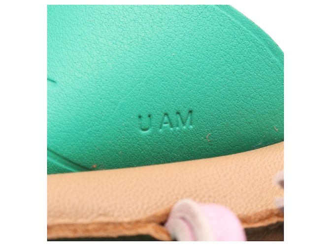 Hermès Hermes Rodeo Pegasus MM Chai Mauve Sylvestre Mint Charm Marrone Rosa Verde - vista 4