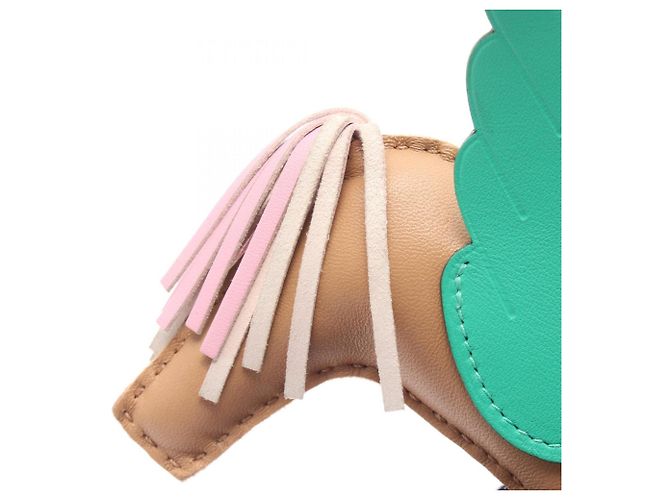 Hermès Hermes Rodeo Pegasus MM Chai Mauve Sylvestre Mint Charm Marrone Rosa Verde - vista 5