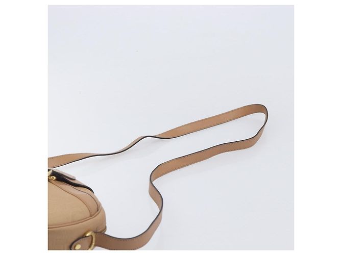 Borsa a tracolla ovale Christian Dior Trotter Canvas PVC Beige Gold Auth ki6915A - vista 10