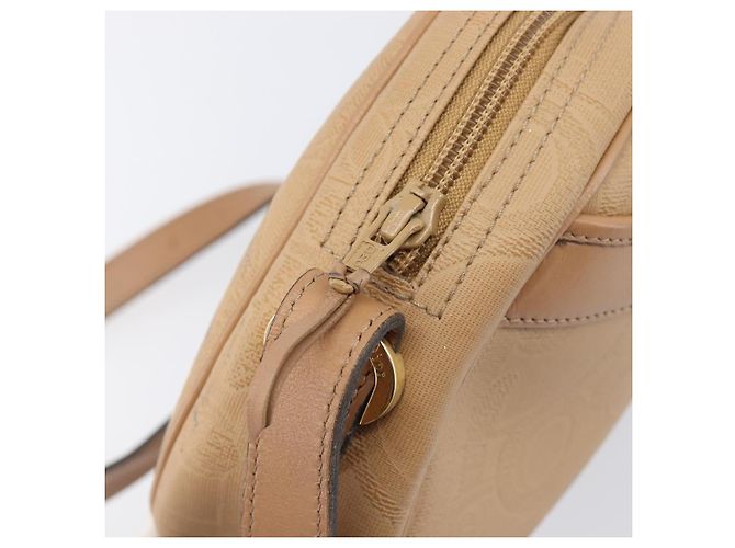 Borsa a tracolla ovale Christian Dior Trotter Canvas PVC Beige Gold Auth ki6915A - vista 19