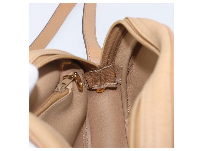 Borsa a tracolla ovale Christian Dior Trotter Canvas PVC Beige Gold Auth ki6915A - vista 22