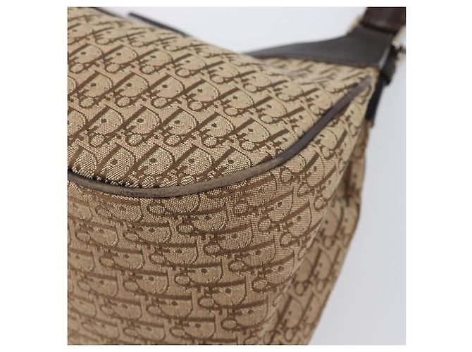 Borsa a mano Christian Dior Trotter Canvas Marrone Argento Auth 207724V - vista 10