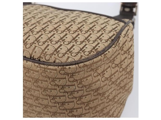 Borsa a mano Christian Dior Trotter Canvas Marrone Argento Auth 207724V - vista 12