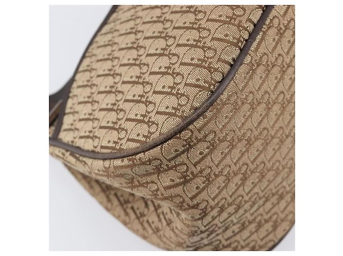 Borsa a mano Christian Dior Trotter Canvas Marrone Argento Auth 207724V - vista 13