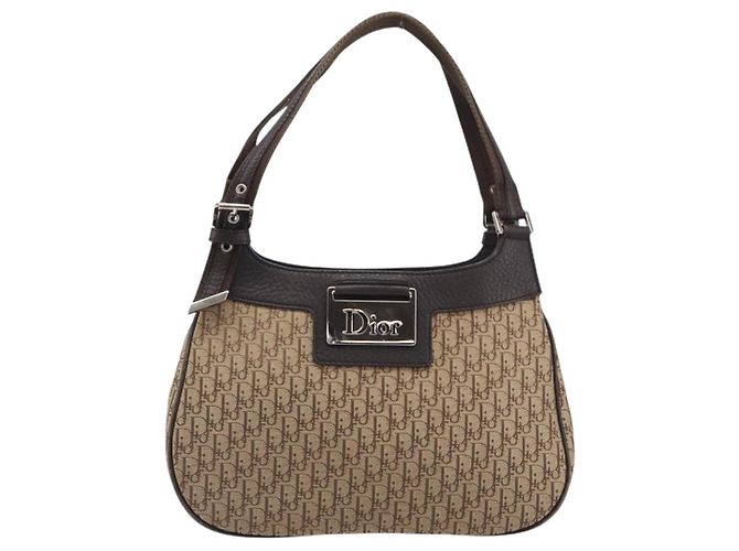 Borsa a mano Christian Dior Trotter Canvas Marrone Argento Auth 207724V - vista 2