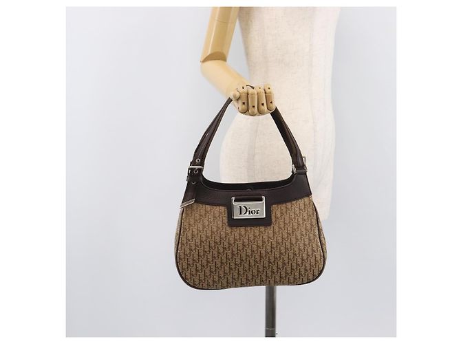 Borsa a mano Christian Dior Trotter Canvas Marrone Argento Auth 207724V - vista 24