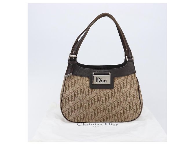 Borsa a mano Christian Dior Trotter Canvas Marrone Argento Auth 207724V - vista 25