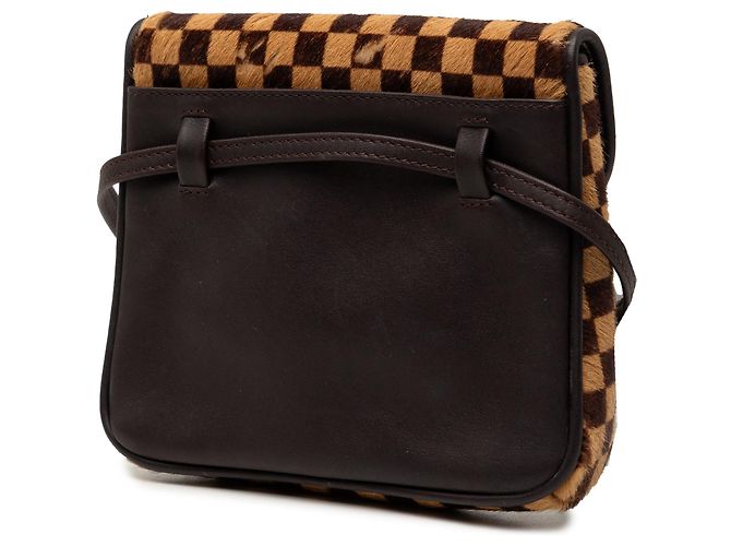 Borsa a tracolla Louis Vuitton Damier Sauvage Gazelle marrone - vista 2