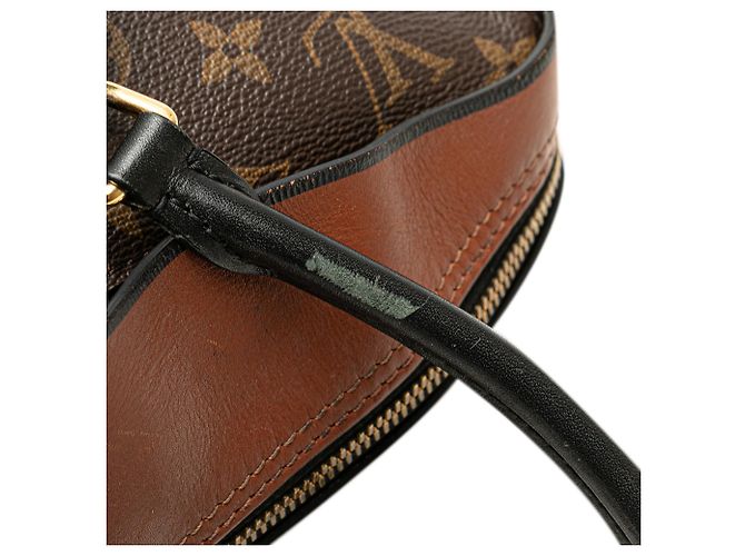 Borsa Satchel Louis Vuitton Monogram Tuileries Marrone - vista 10