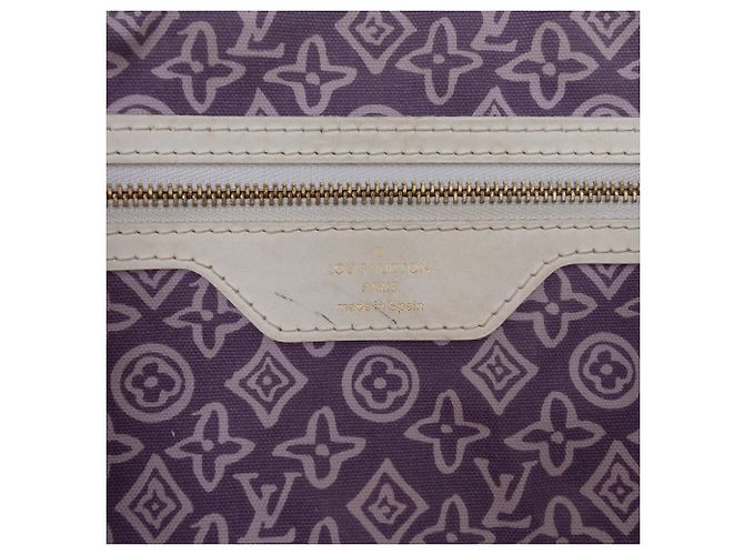 Borsa Tote Cabas PM Louis Vuitton Monogram Tahitienne Viola Porpora - vista 5