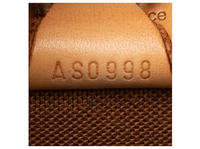 Borsa a mano Louis Vuitton Monogram Ellipse MM Marrone - vista 6