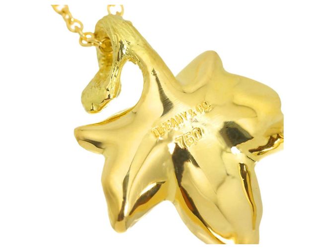 Autre Marque Collana Leaf Tiffany & Co. D'oro - vista 4