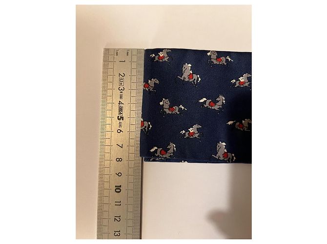 Hermès Paris Seidentuch-Etui Weiß Rot Blau Grau - Ansicht 5