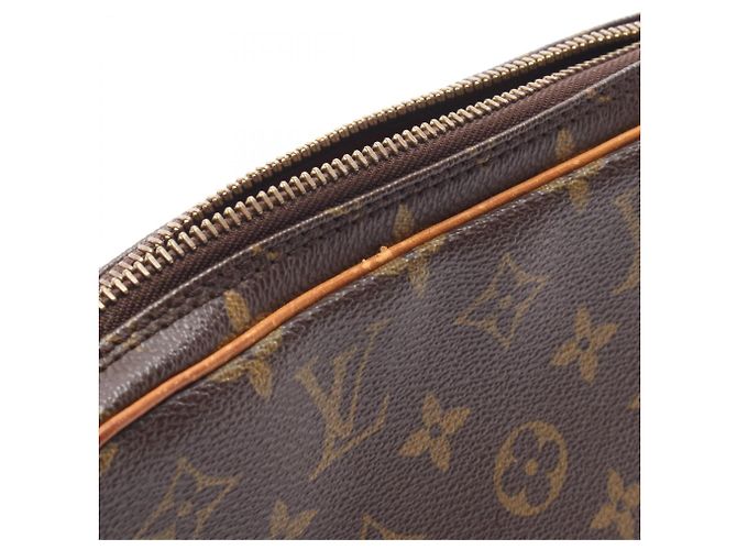 Borsa a Pochette Louis Vuitton Marly Dragonne PM Marrone - vista 10