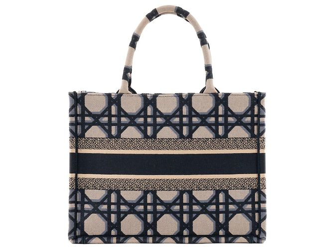 DIOR - Borsa shopper BookTote media Dior in tela grigia e blu - vista 3