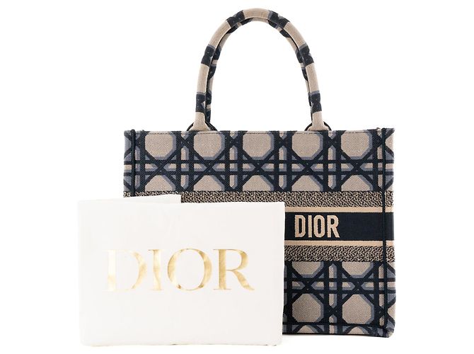 DIOR - Borsa shopper BookTote media Dior in tela grigia e blu - vista 7