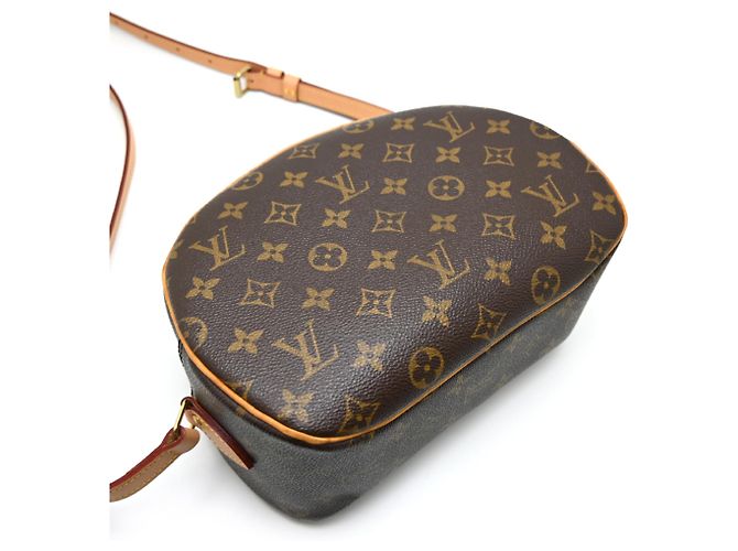 Borsa a tracolla Louis Vuitton Blois da donna Marrone - vista 4